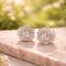 Jewels-by-Sarah-Silver-Vortex-AD-Stone-Original-Zircon-Silver-Plated-Earrings